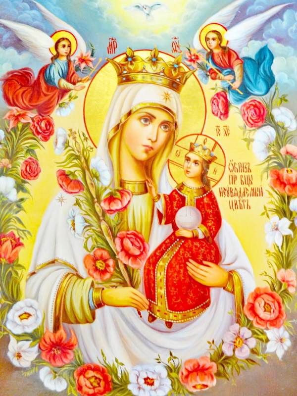 иконе Божией Матери Серафимо-Дивеевская Игумения