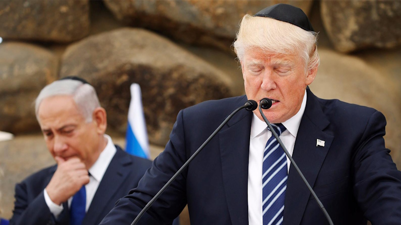 Посвящается Д. Д. Трампу